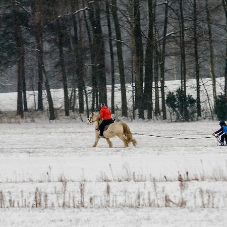 Kolorowe Wzgorze Agroturystyka I Konie Trojanow 외부 사진