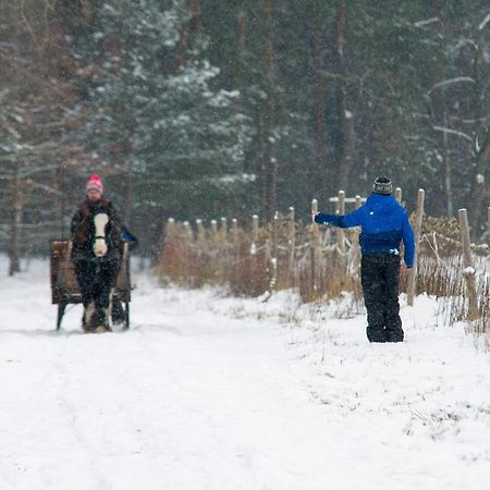 Kolorowe Wzgorze Agroturystyka I Konie Trojanow 외부 사진