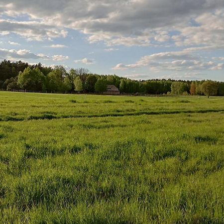 Kolorowe Wzgorze Agroturystyka I Konie Trojanow 외부 사진