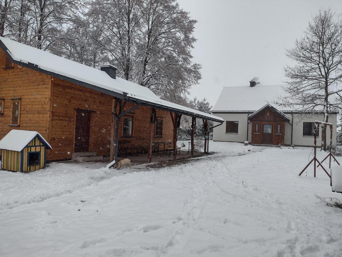 Kolorowe Wzgorze Agroturystyka I Konie Trojanow 외부 사진