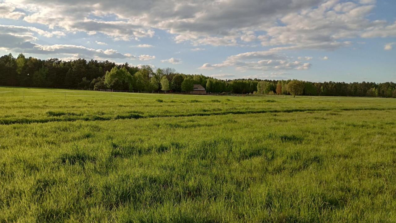 Kolorowe Wzgorze Agroturystyka I Konie Trojanow 외부 사진