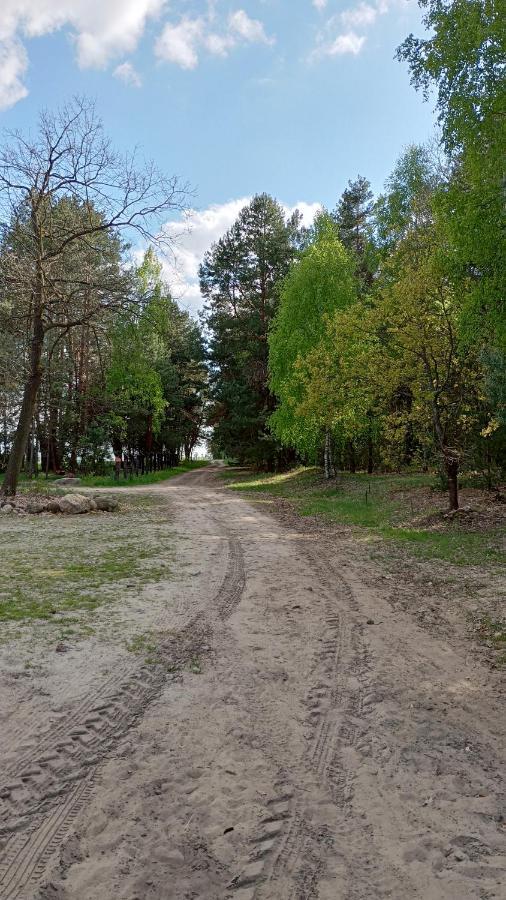 Kolorowe Wzgorze Agroturystyka I Konie Trojanow 외부 사진