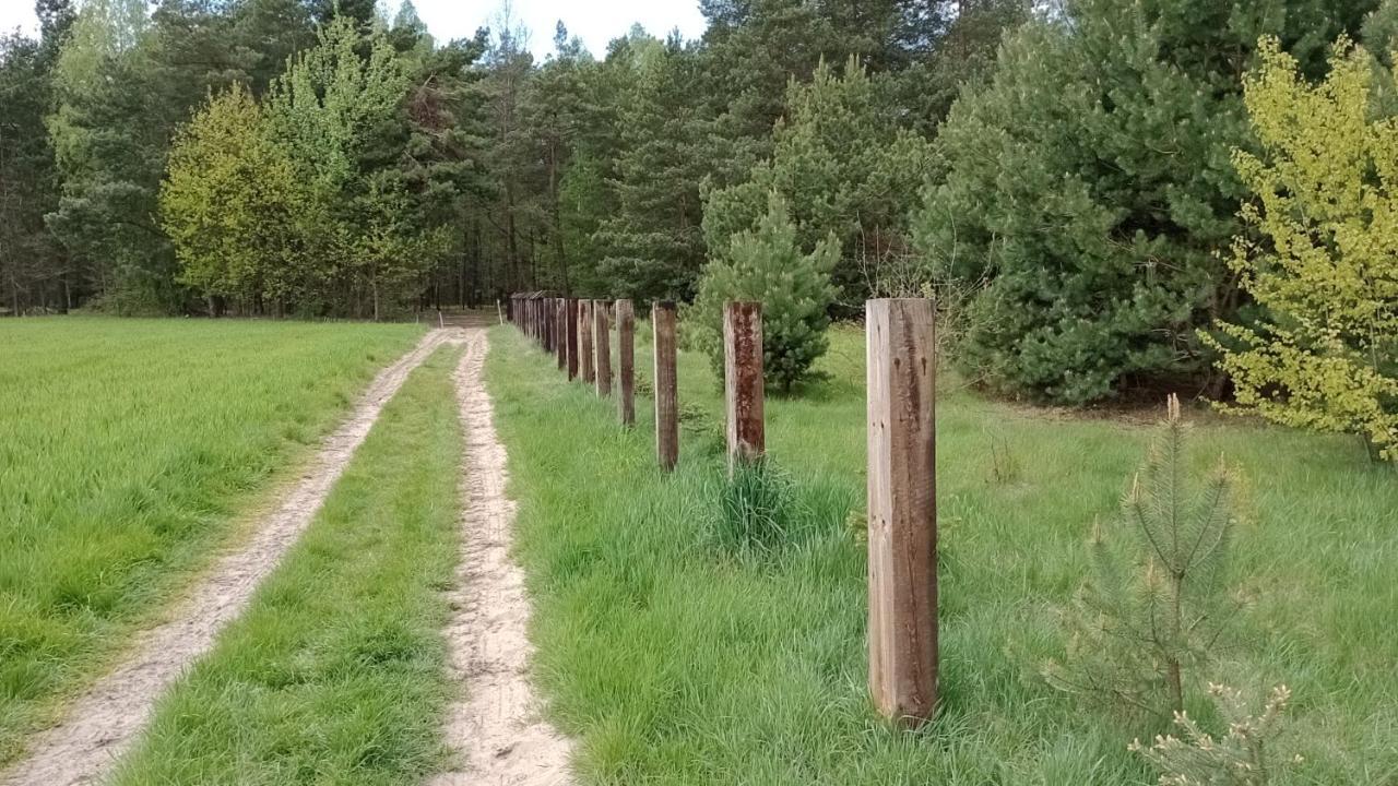 Kolorowe Wzgorze Agroturystyka I Konie Trojanow 외부 사진